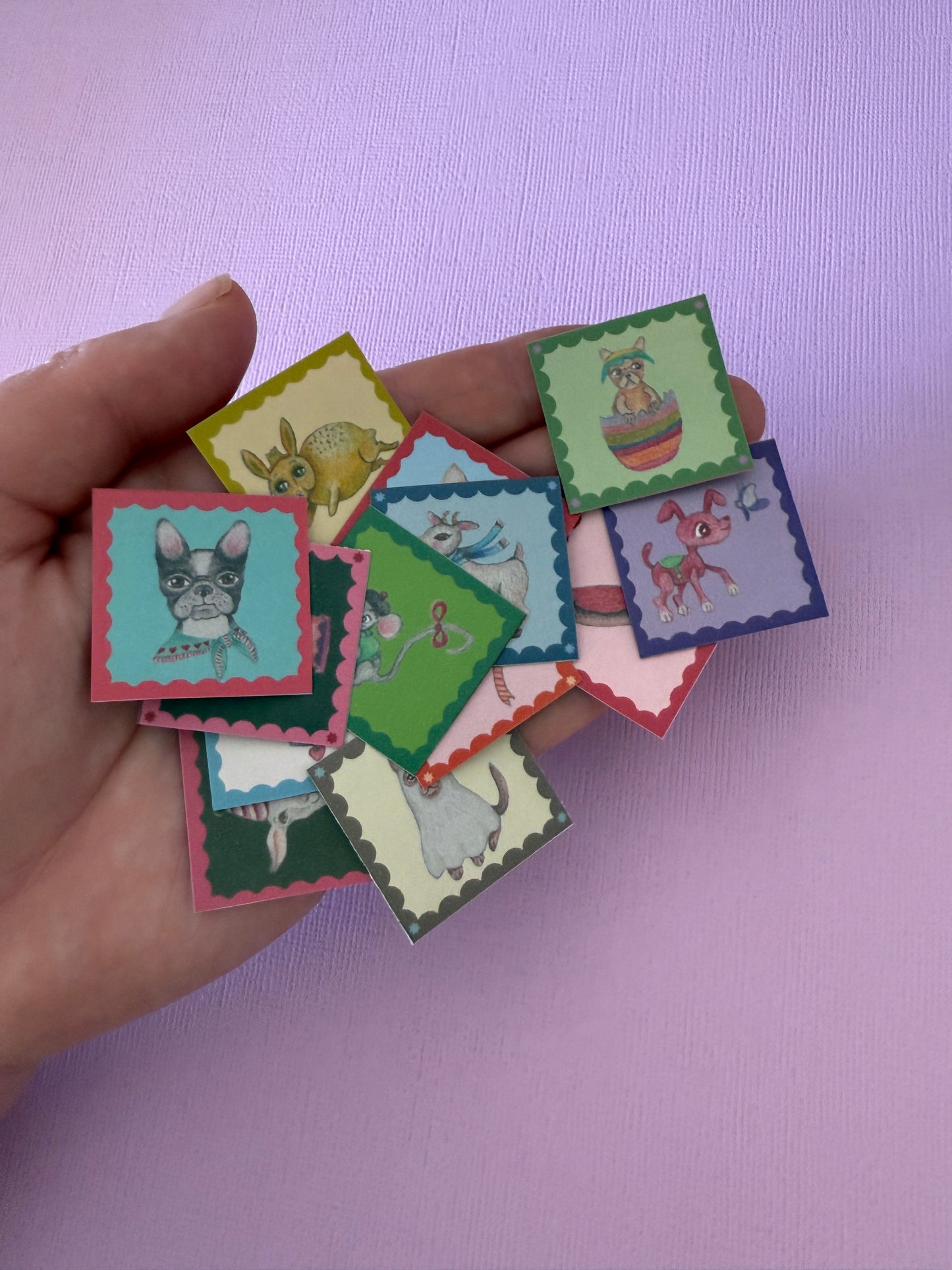 SBR Mixed Washi Dogs