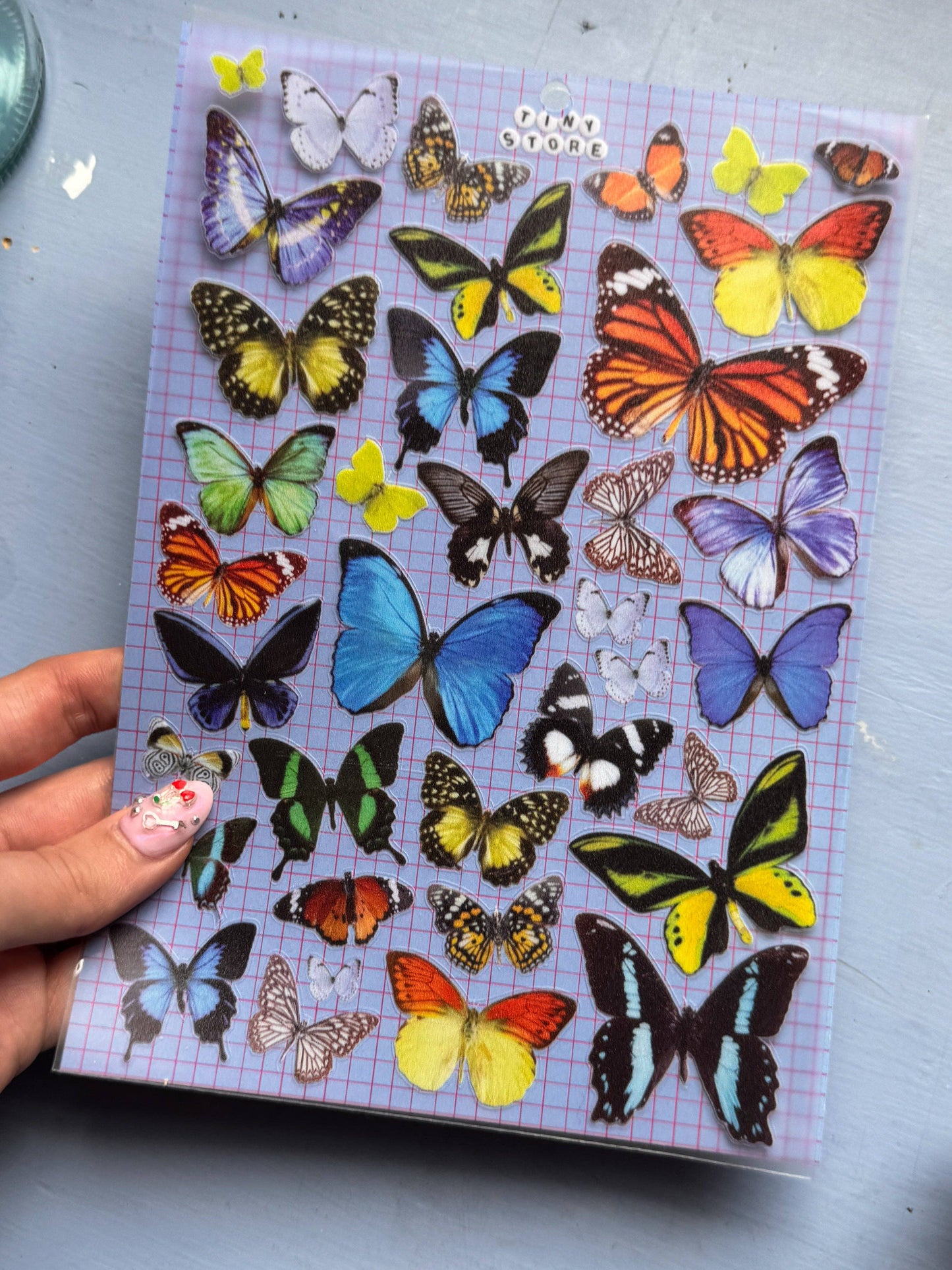 Butterfly *Premium Transparent* Stickers