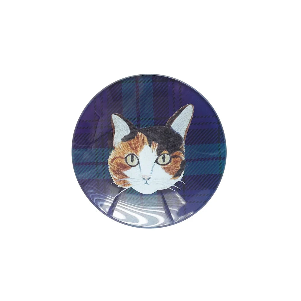 Matsuo Miyuki Glass Plate - Tabby 12 cm