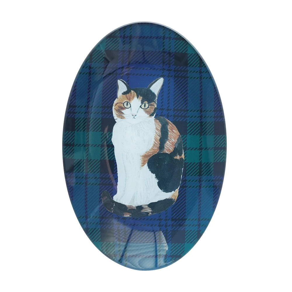 Matsuo Miyuki Glass Oval Plate - Tabby