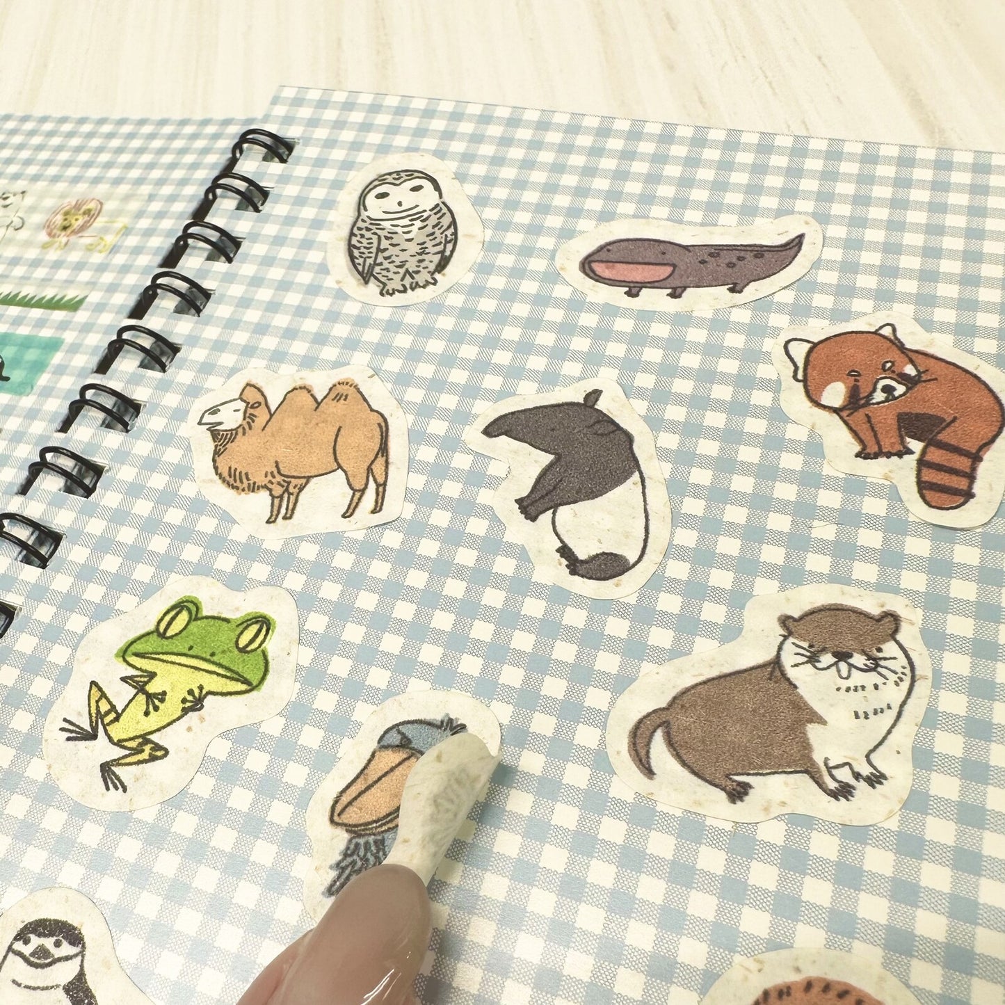 Shinzi Katoh Removable Sticker Book A6 Spring Flower Rabbit