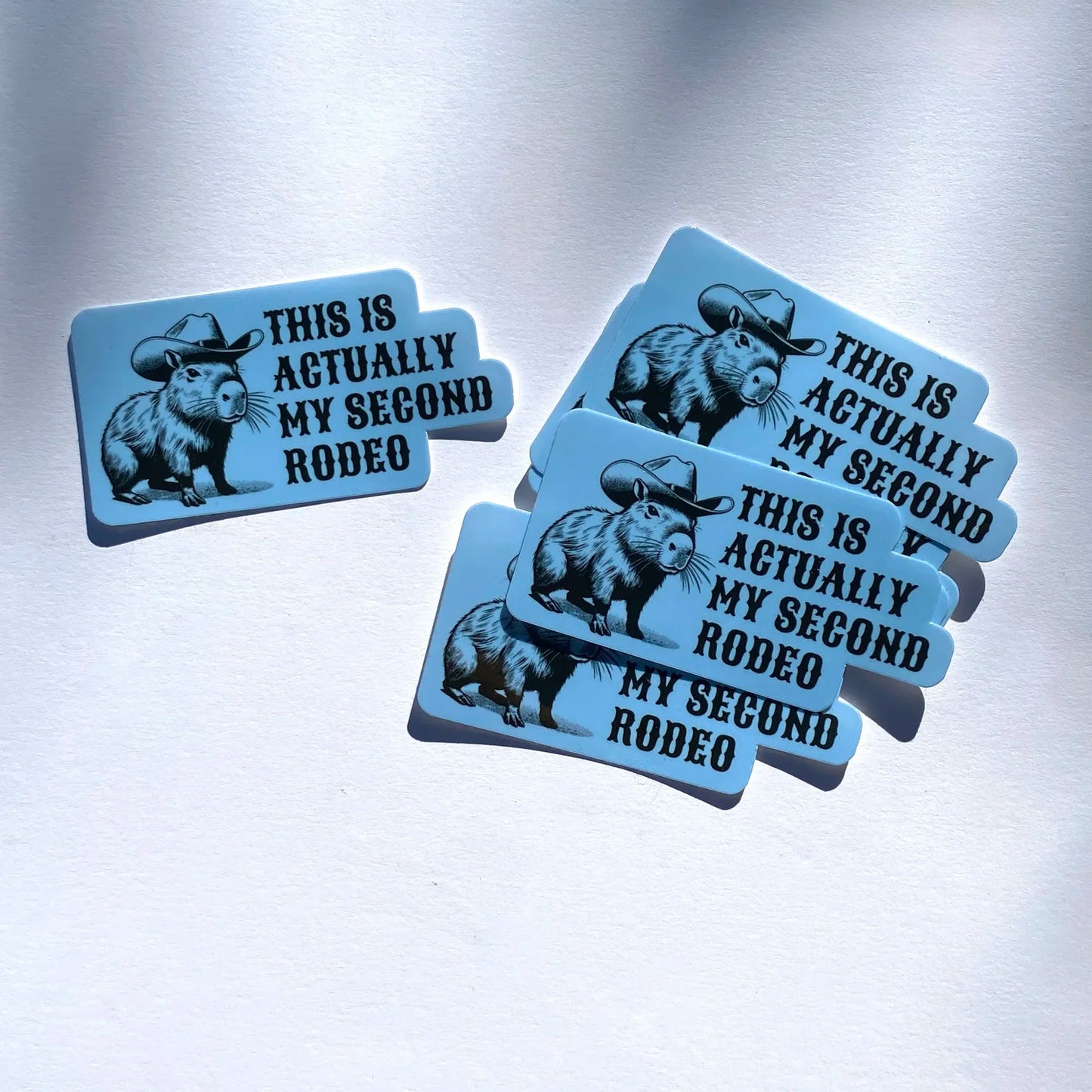 Second Rodeo vinyl sticker