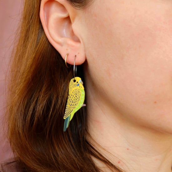 Budgie Australian Bird Earrings