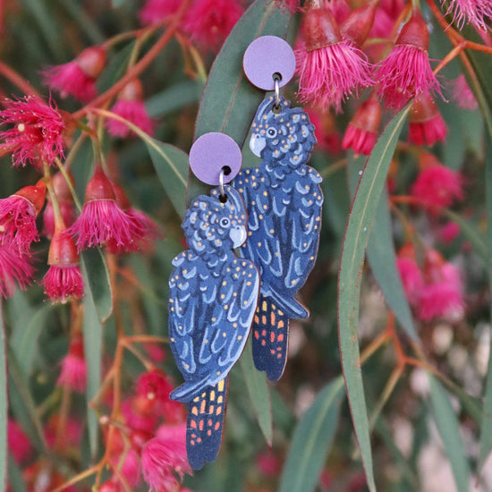 Black Cockatoo Australian Bird Earrings