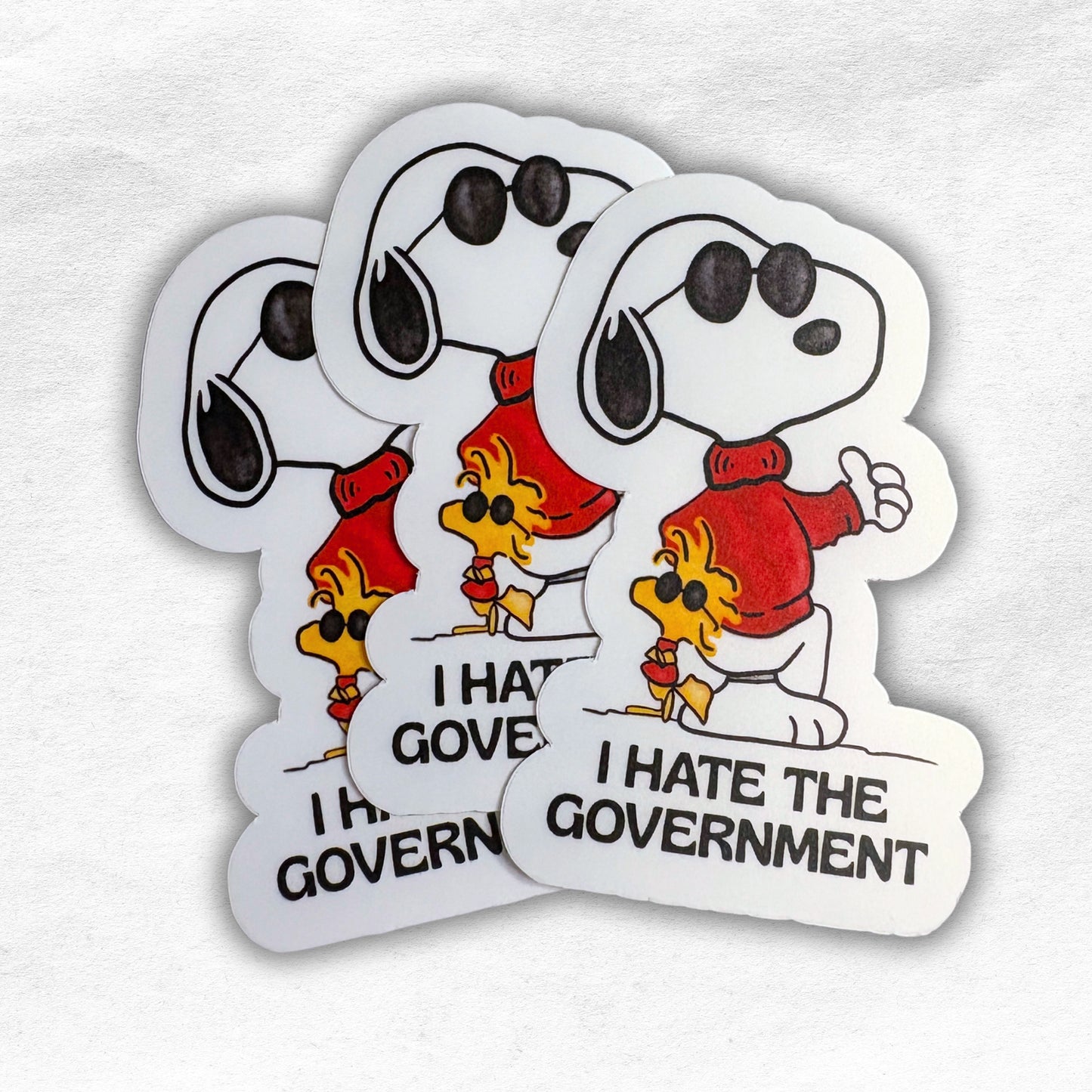 I hate the government vinyl sticker