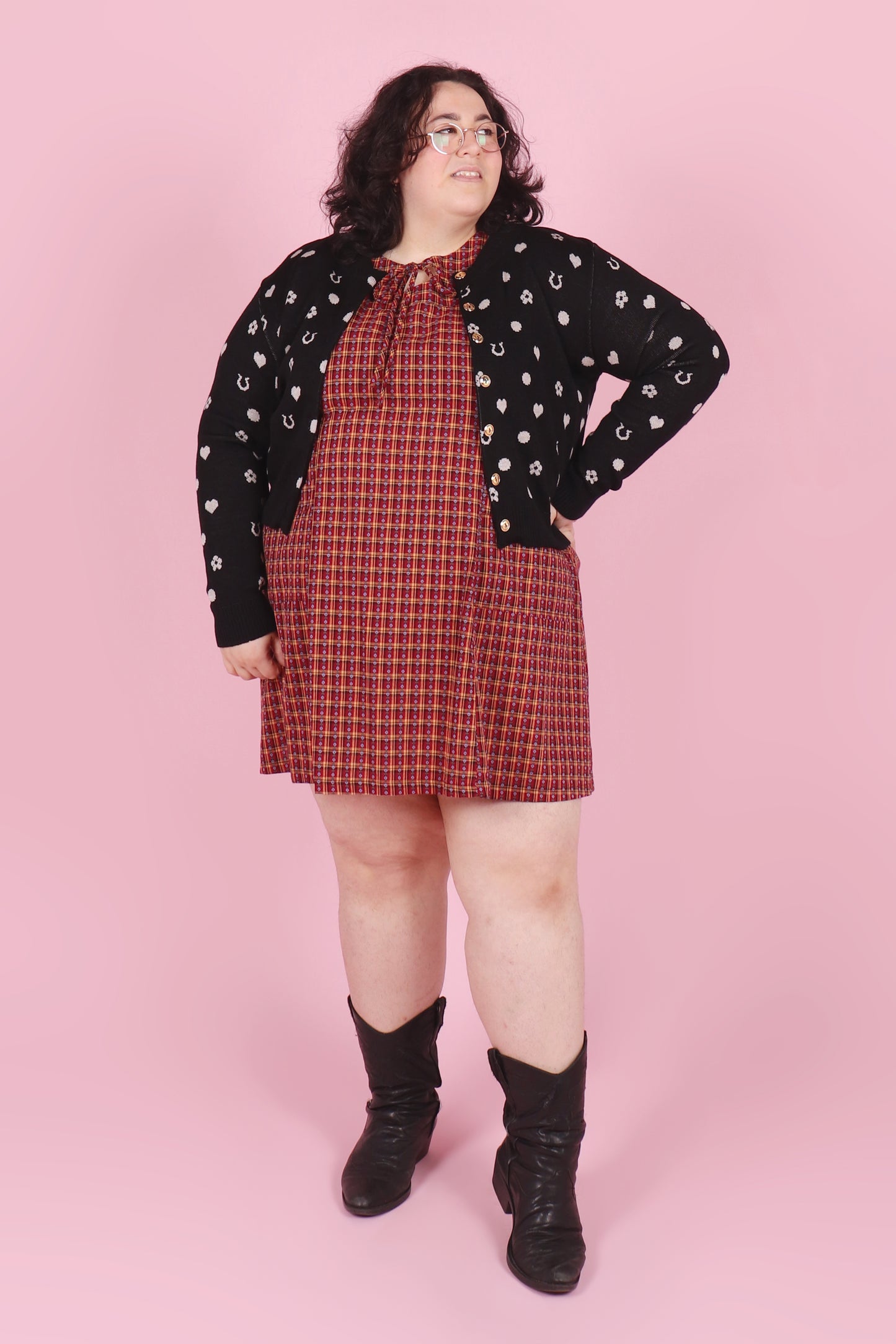 Primrose Cardie Lucky Spot Black