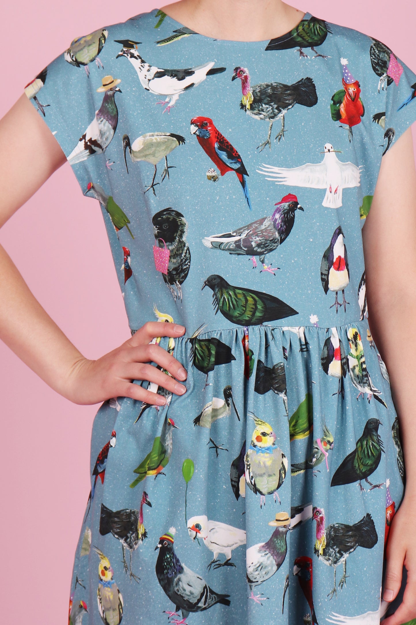 Edie Dress Bird Party