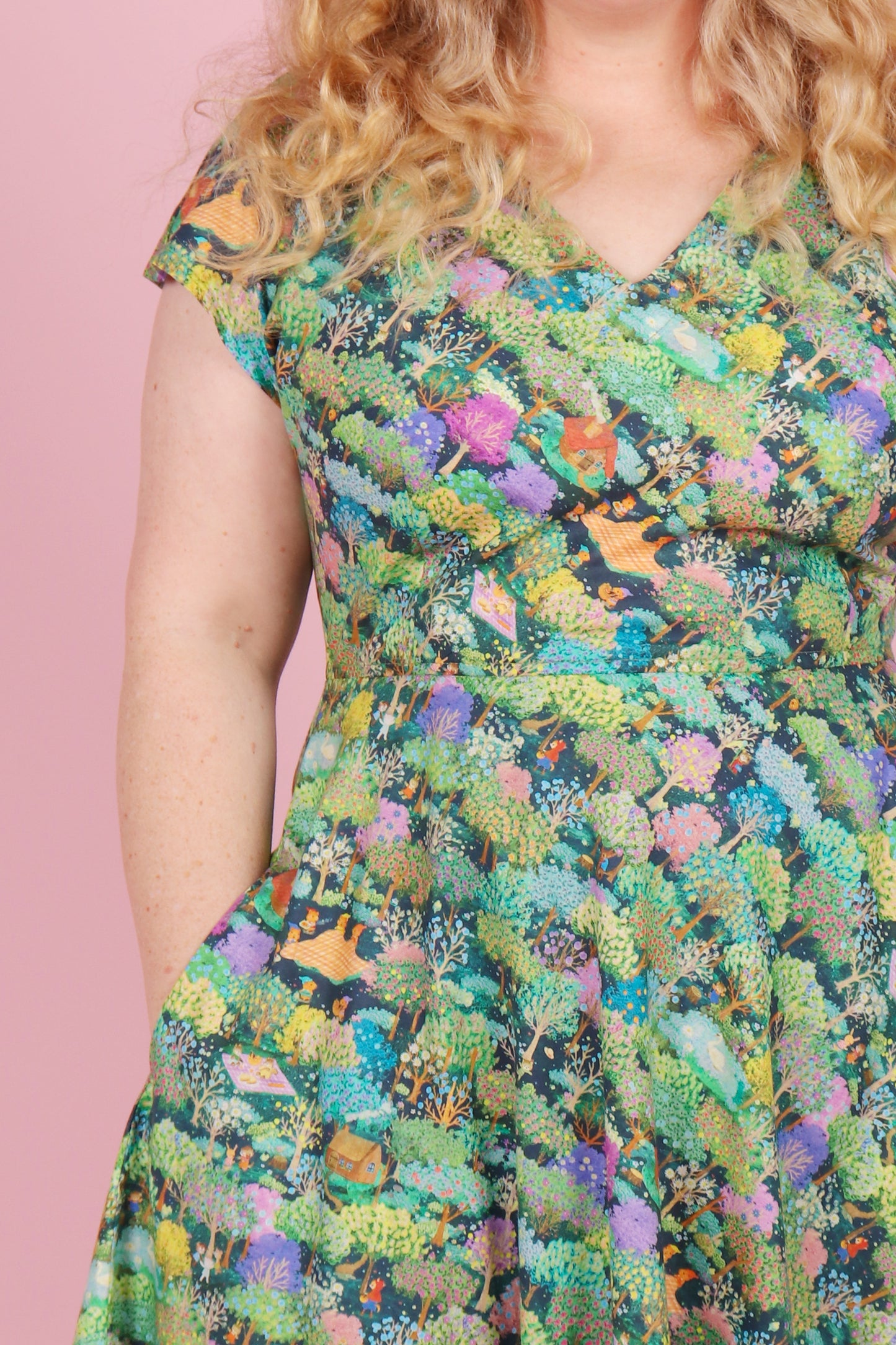 Belinda Dress Midnight Picnic