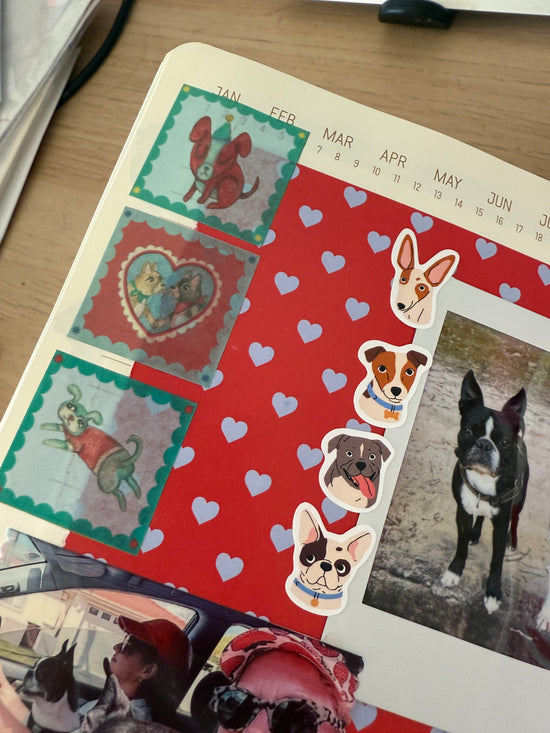 SBR Mixed Washi Mixed