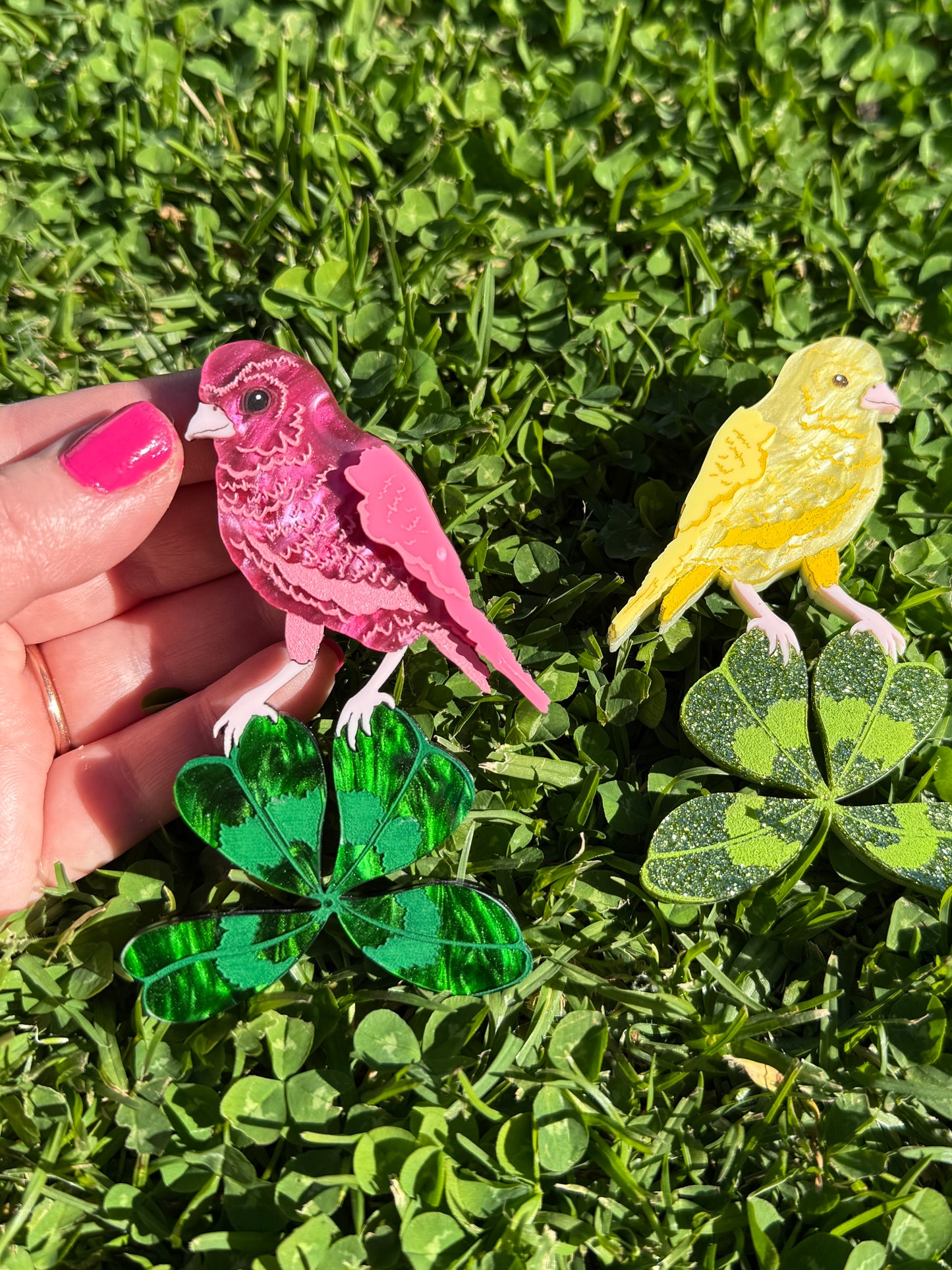 Canary Clover Brooch Pink