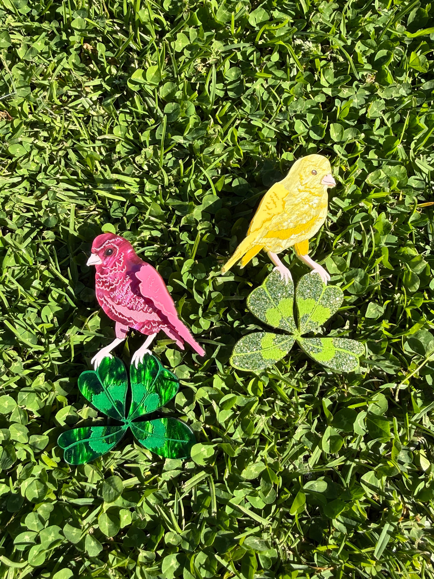 Canary Clover Brooch Pink