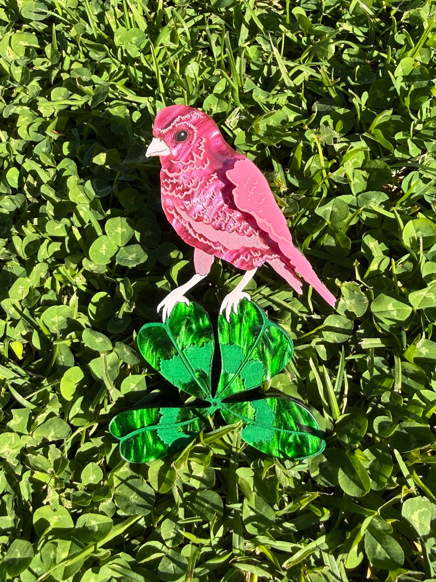 Canary Clover Brooch Pink