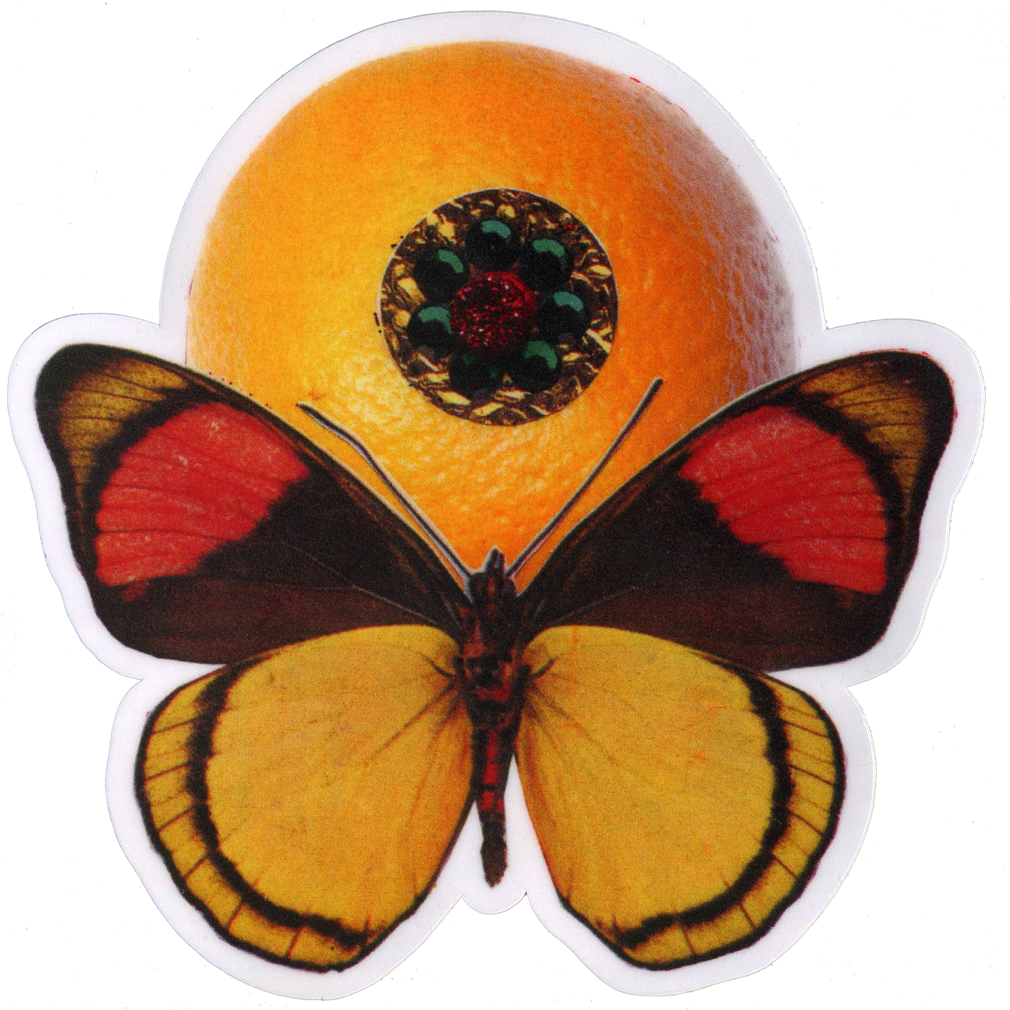Minna Gilligan Orange Bling Butterfly