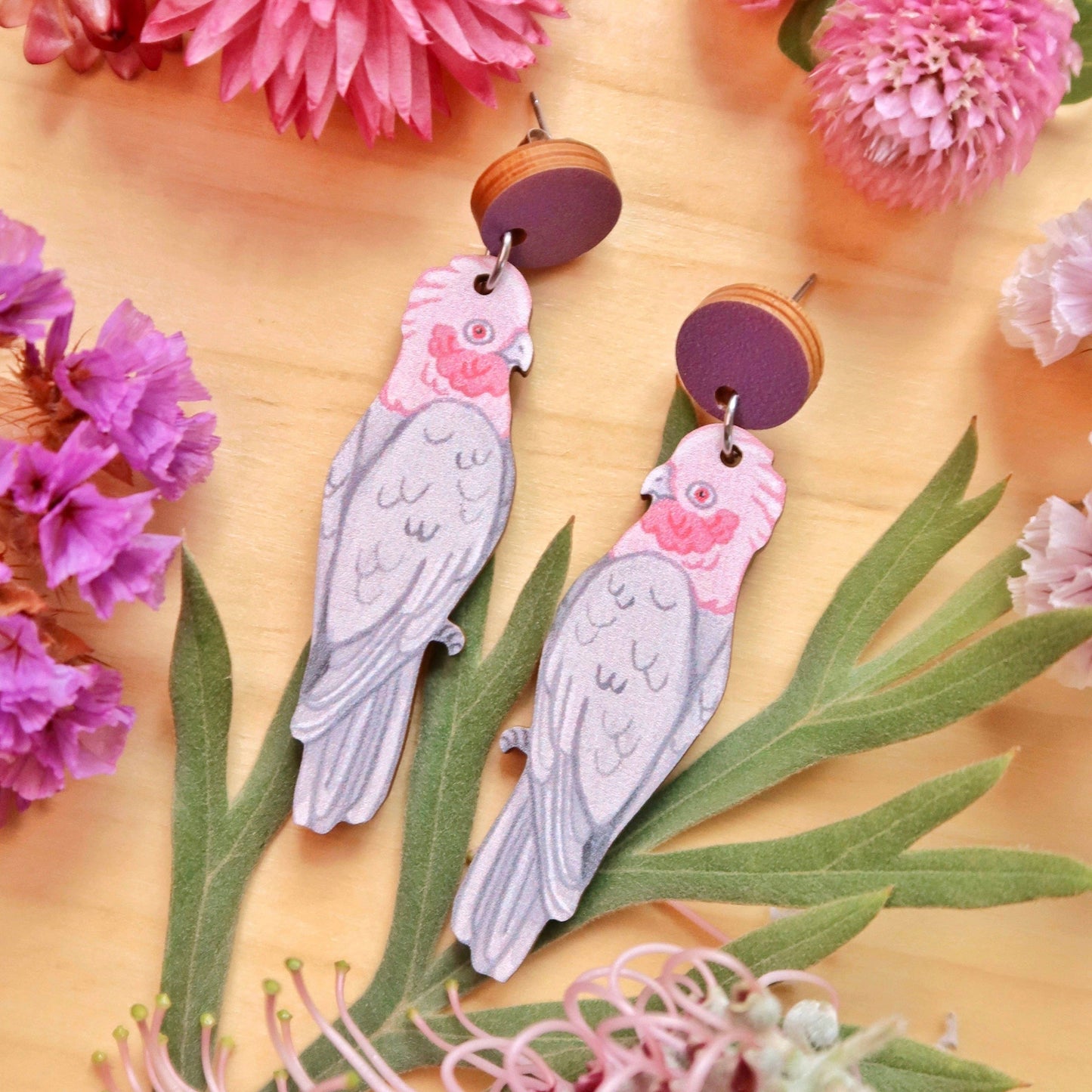 Galah Australian Bird Earrings