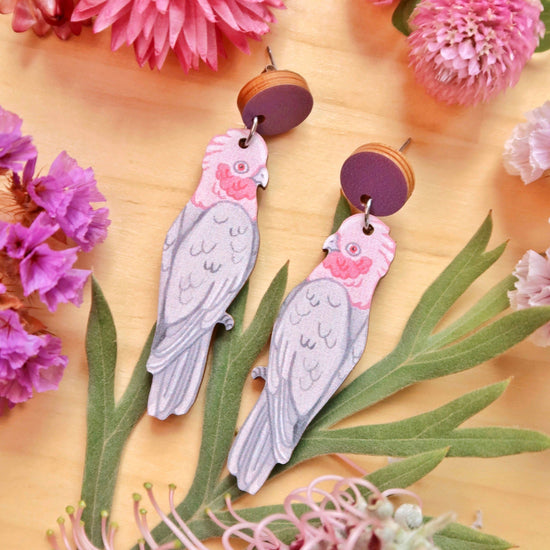 Galah Australian Bird Earrings