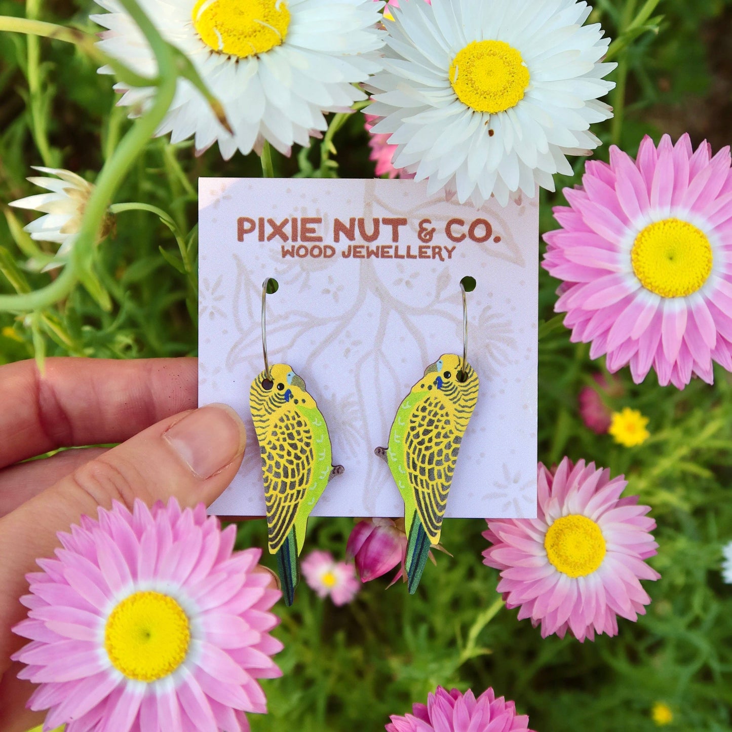 Budgie Australian Bird Earrings