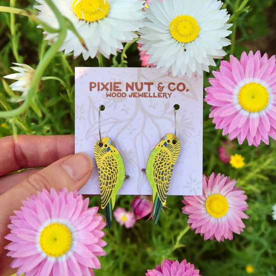 Budgie Australian Bird Earrings