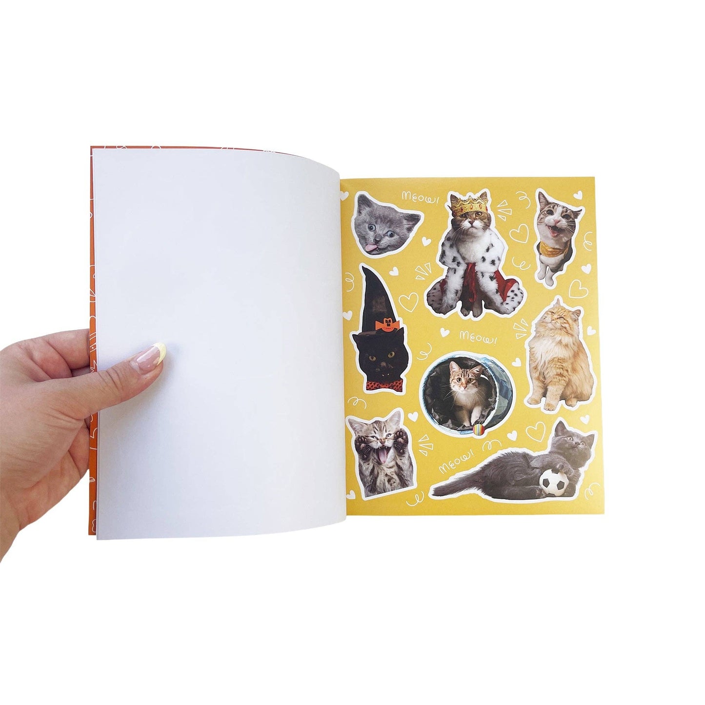 Hiss-terically Funny Cat Sticker Book