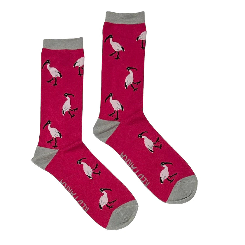 Ibis Socks