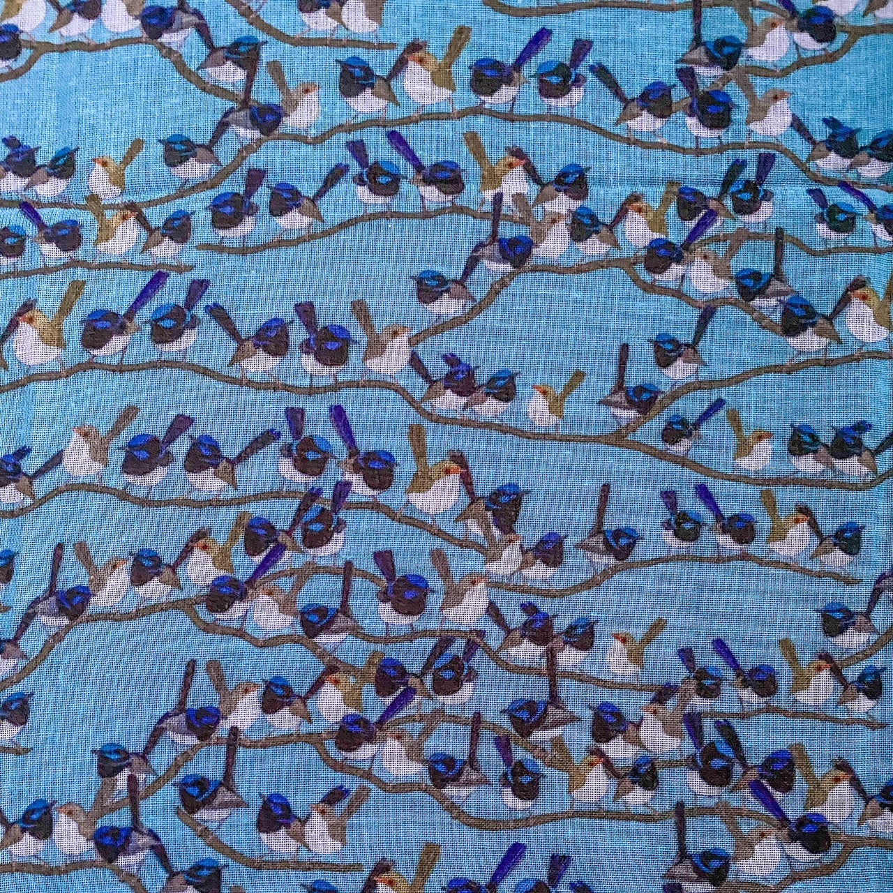 Fairy Wren Scarf