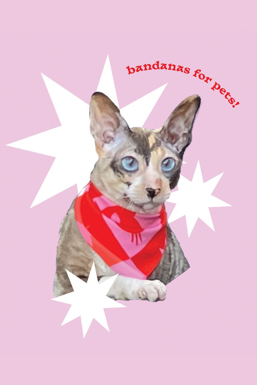 Cosmic Cat Pet Bandana for Charity